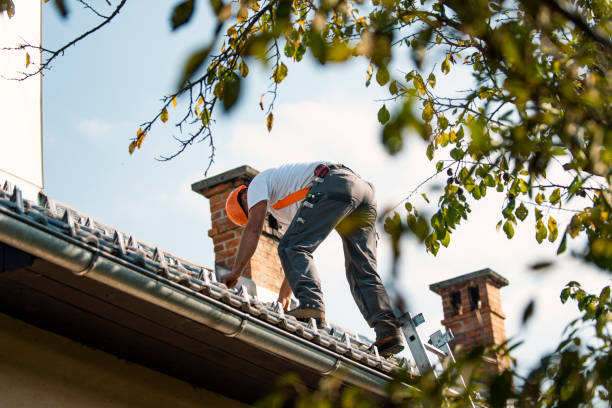 Best Roof Maintenance and Cleaning  in Wheatland, WY